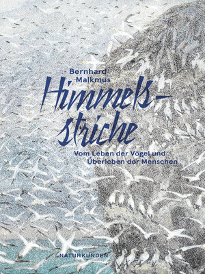 cover image of Himmelsstriche